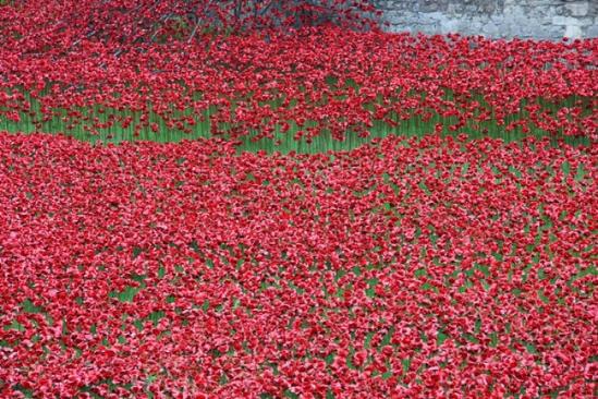 tower of london 08